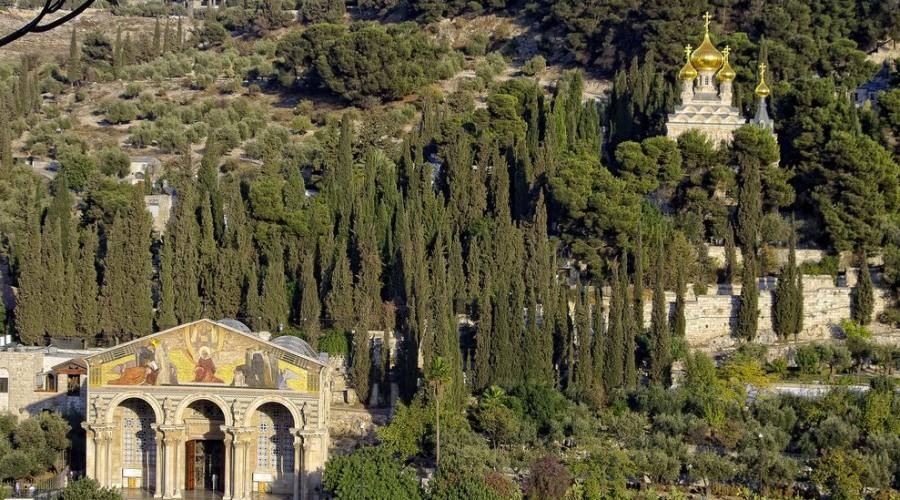 Gerusalemme - Chiese delle Nazioni e Ortodossa