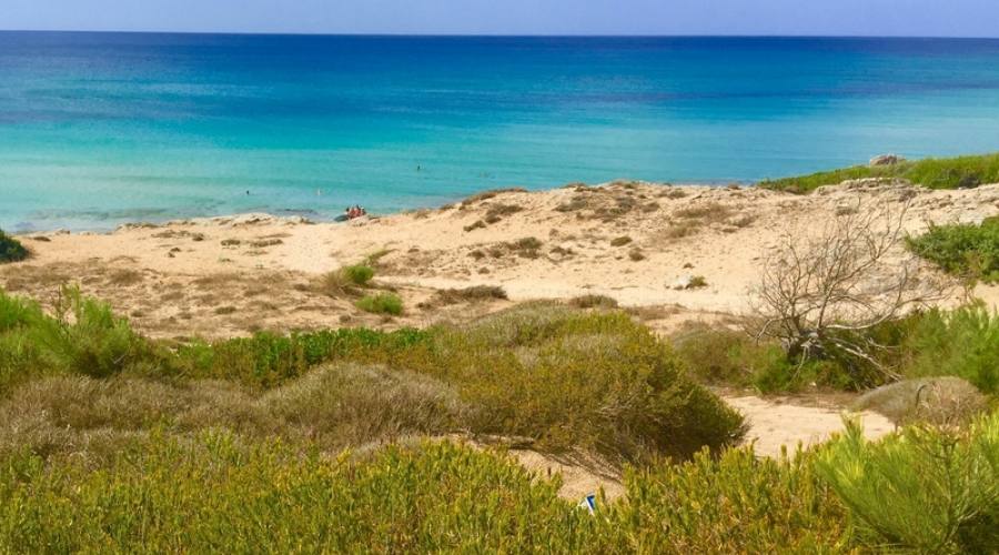 Le dune di Campomarino