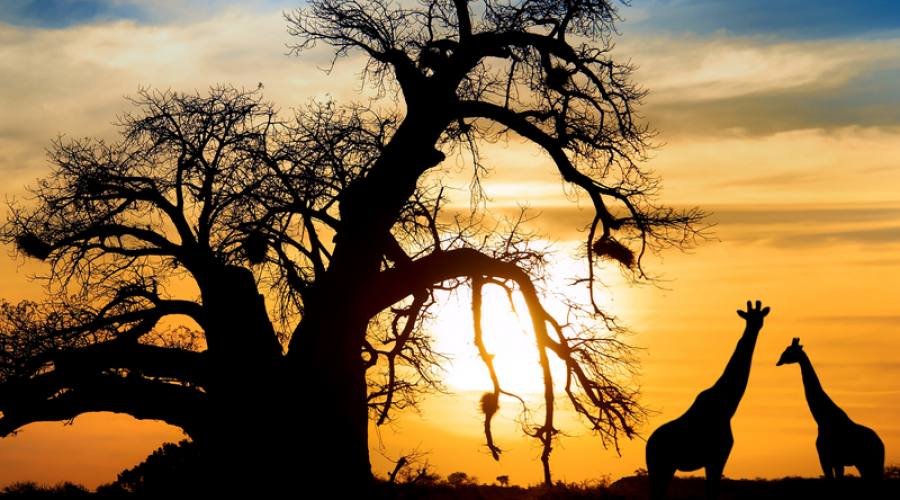 Tramonto