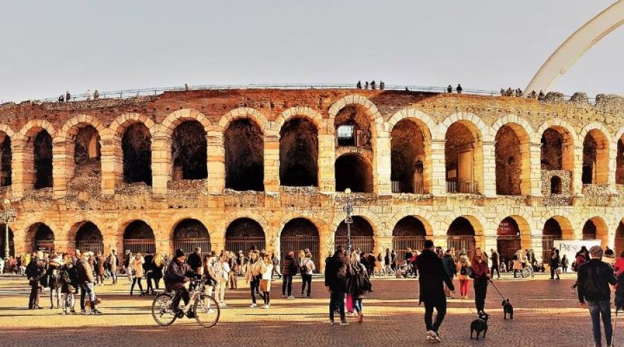 Arena