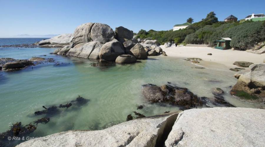 Boulders Beach