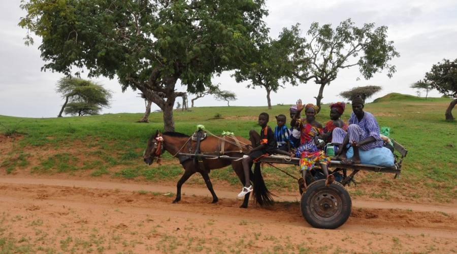 Il Senegal