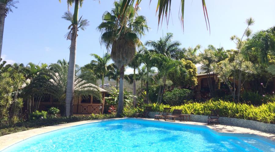 Il giardino e la piscina dove rilassarsi dopo una giornata di visita