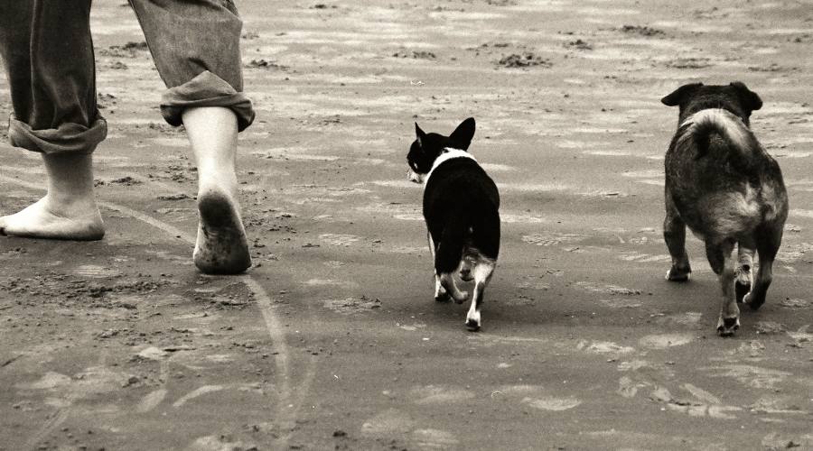 Una bella passeggiata