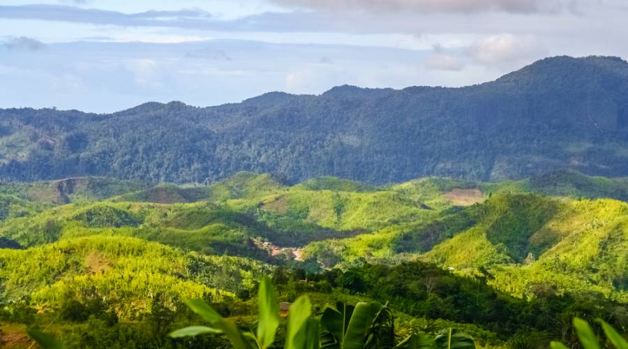 Le foreste del Madagascar