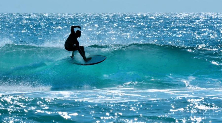 Surf