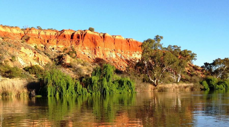 Murray river