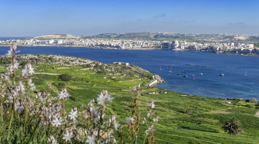 Malta: Bugibba