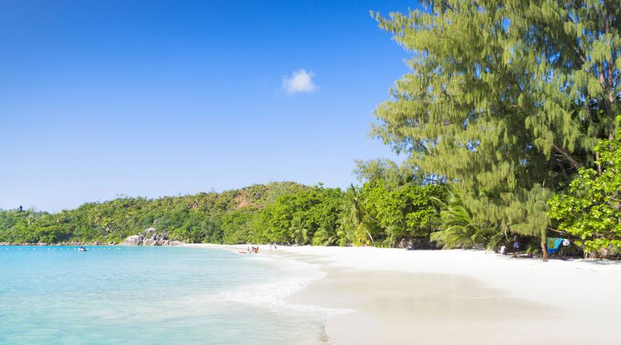 Praslin Anse Lazio