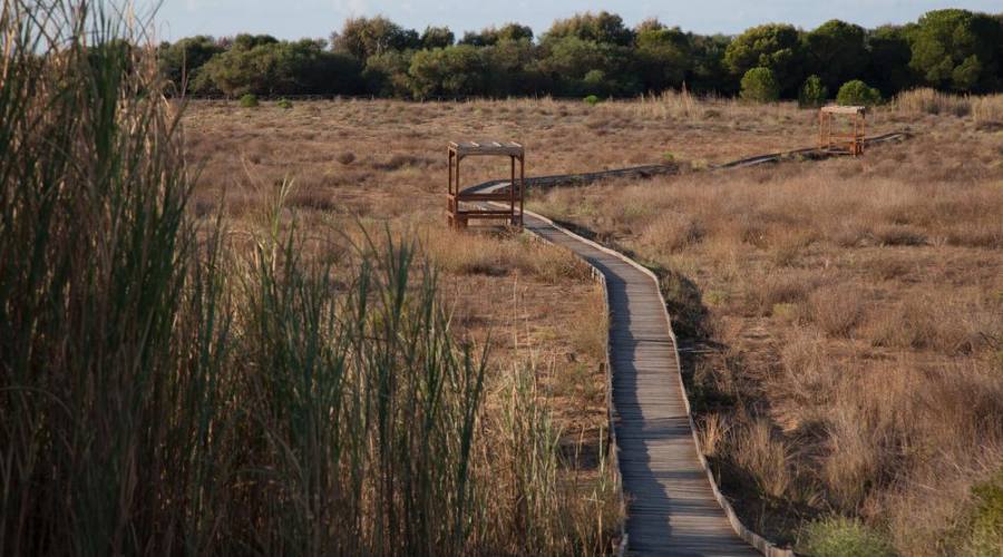 sentiero per raggiungere la spiaggia