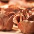 Gastronomia portoghese