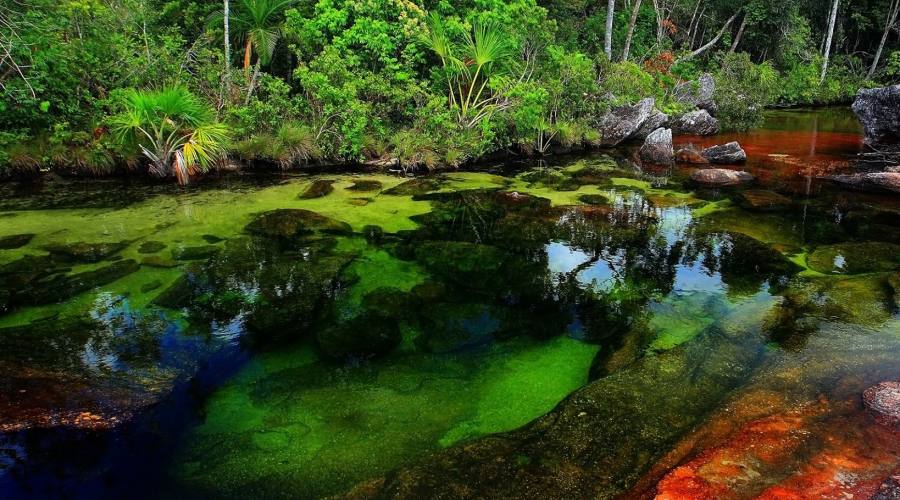 Tour Adventure Nature: Ca&ntilde;o Cristal
