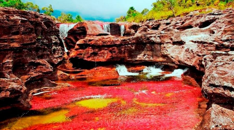 Tour Adventure Nature: Ca&ntilde;o Cristal
