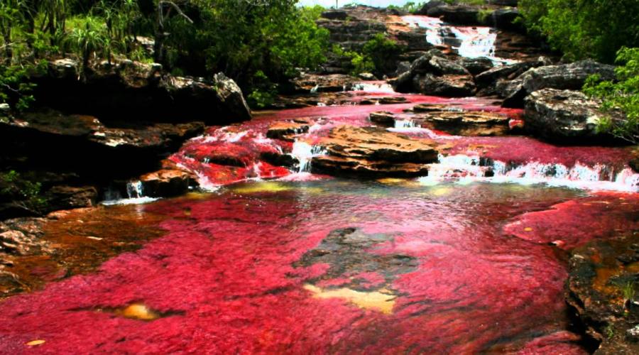 Tour Adventure Nature: Ca&ntilde;o Cristal