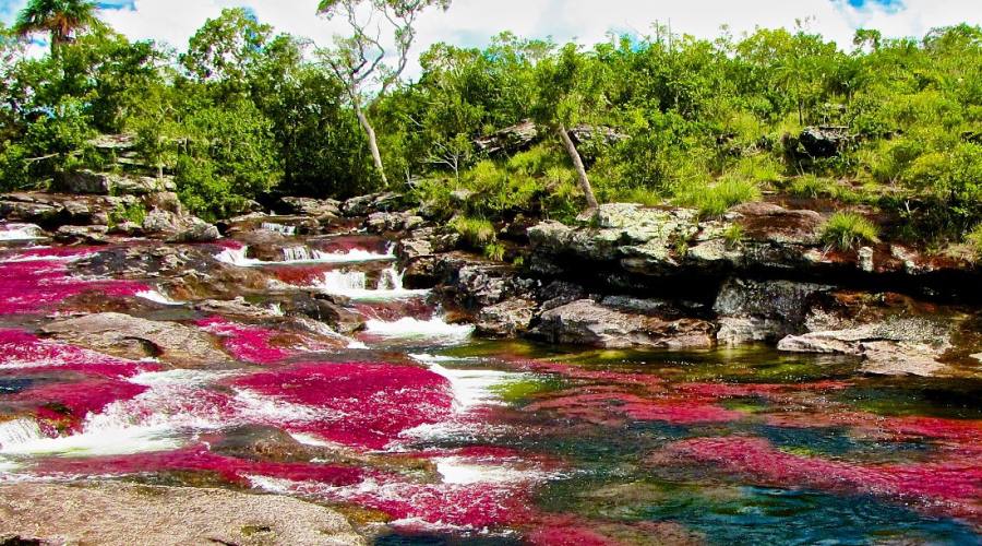 Tour Adventure Nature: Ca&ntilde;o Cristal