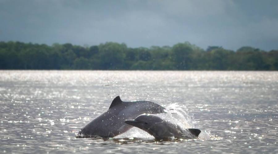 Tour Adventure Nature: Amazzonia Lago Tarapoto