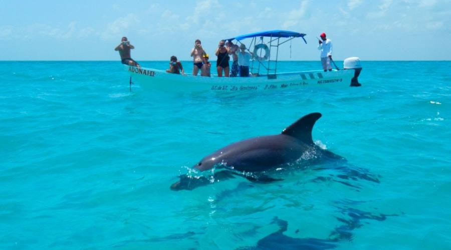 Escursioni: Delfini,Tartarughe e Dugonghi nella Biosfera di Sian Ka'an