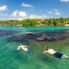 Escursioni: Snorkeling a Tulum