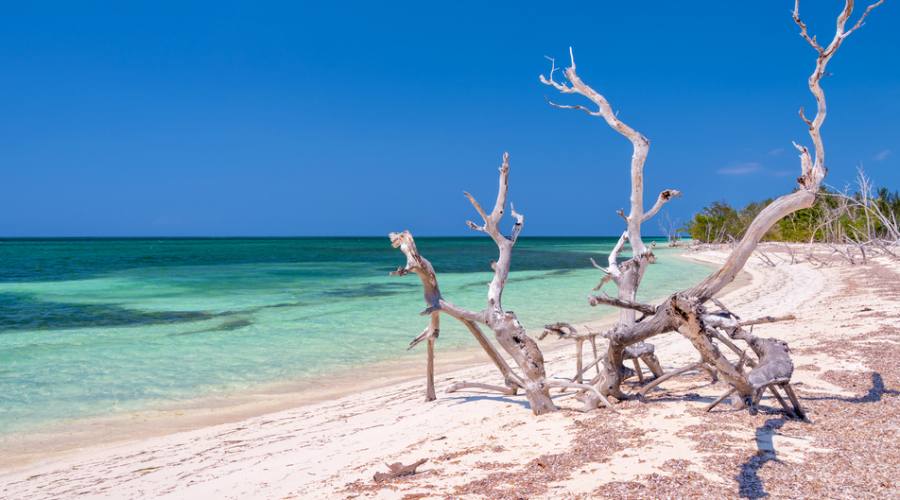 Cayo Levisa, relax e natura