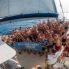 Catamaran Party