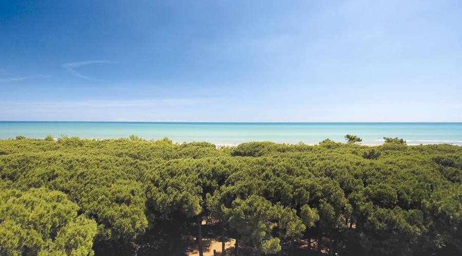 Cervia