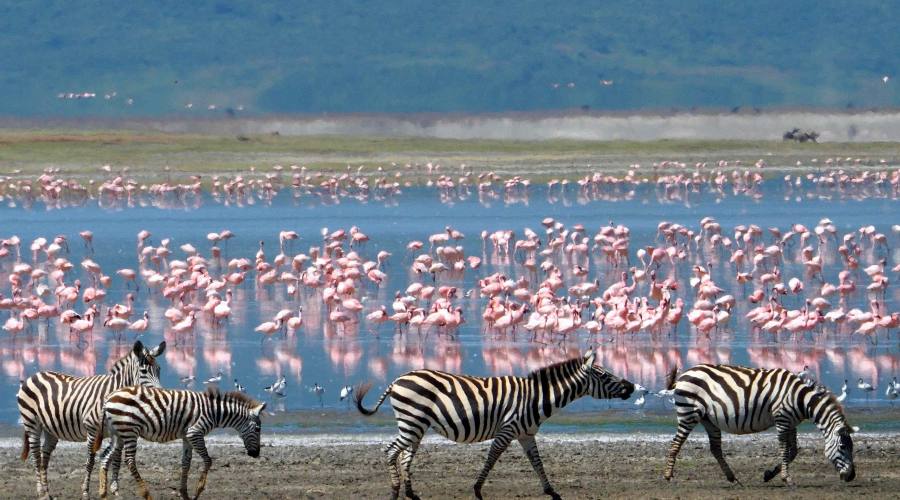 Ngorongoro conservation area