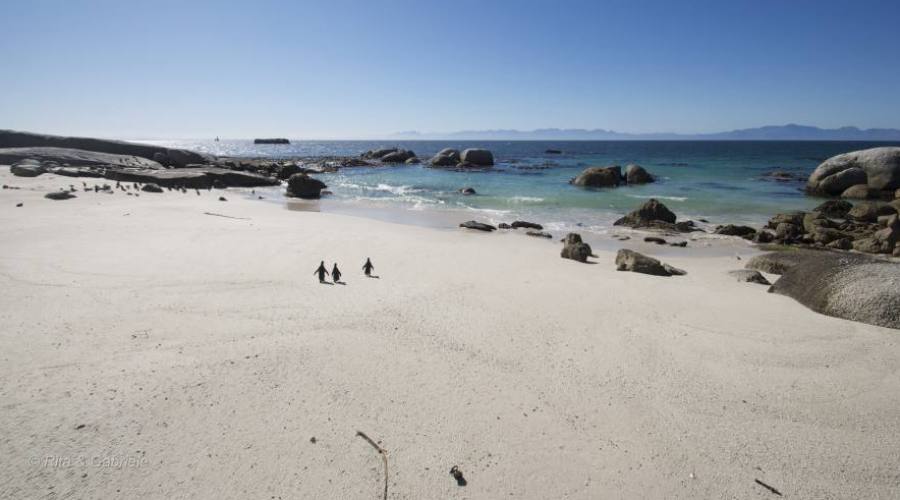 Boulders Beach