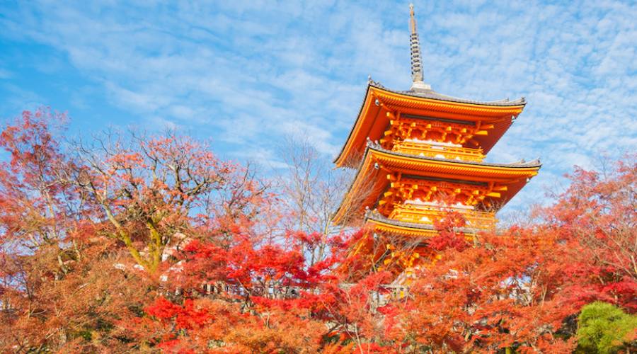 Kyoto - Pagoda del tempio Kiyomizu-dera