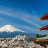 Monte Fuji - Panorama