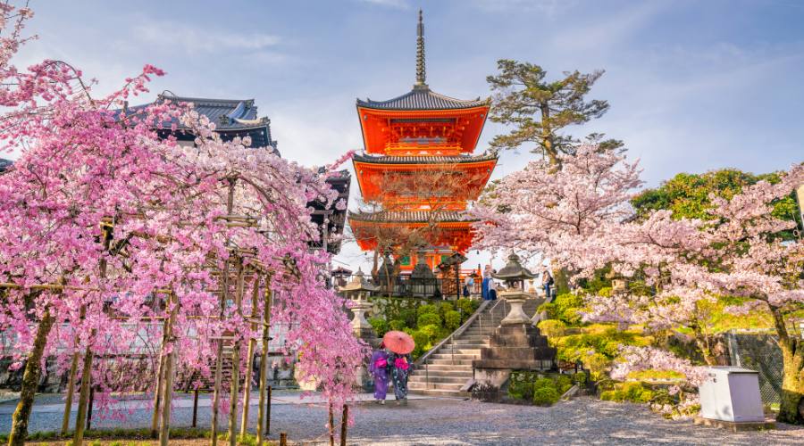 Kiyomizudera a Kyoto durante l'Hanami