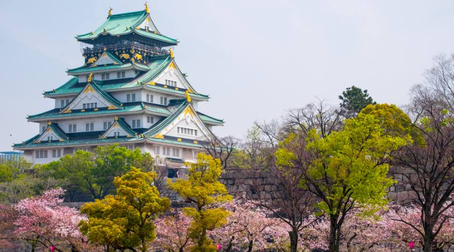 Il castello di Osaka durante l'Hanami