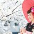 Incontri durante il vostro viaggio in Giappone durante l'Hanami