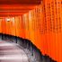 Il Sushimi Inari a Kyoto