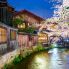 Fioritura dei ciliegi a Kyoto