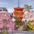 Kiyomizudera a Kyoto durante l'Hanami