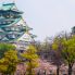 Il castello di Osaka durante l'Hanami