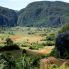 Valle di Vinales, Mural de la Preistoria e Mogotes, Piantagioni di Tabacco