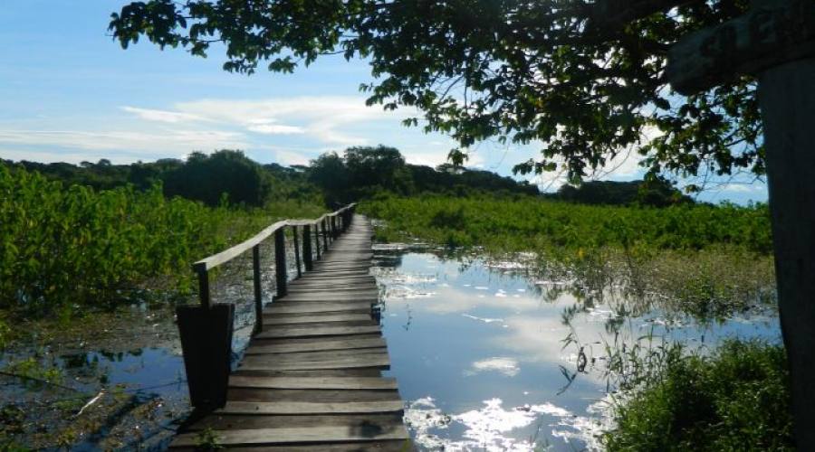 Tour Pantanal Completo e Chapada dos Guimarães