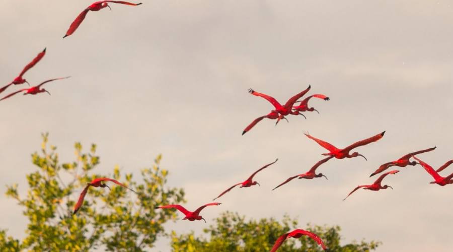 La Rotta delle Emozioni: Parnaiba - Guar&agrave; 