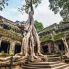 Particolare del Ta Prohm Temple ad Angkor