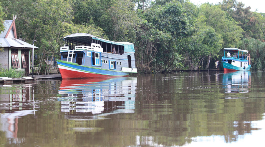 Crociera sul fiume Mahakam