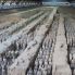 Xi'An: Esercito di terracotta