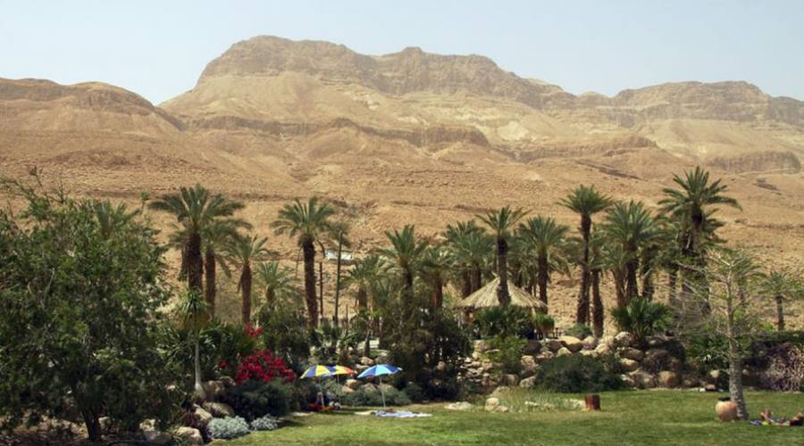 Ein Gedi orto botanico