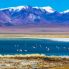 Deserto di Atacama