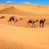 Deserto del Marocco