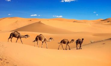 Gran Tour Città Imperiali & Deserto con finale a Marrakech