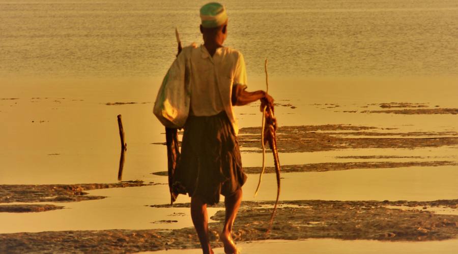 La bassa marea