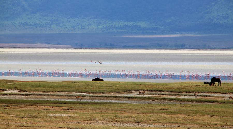 Ngorongoro Conservation Area