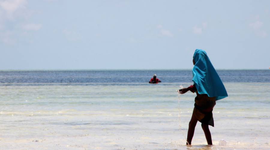 Zanzibar