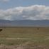 Ngorongoro Conservation Area